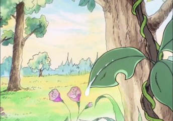 Le più belle favole del mondo - 063 - Pelle di foca