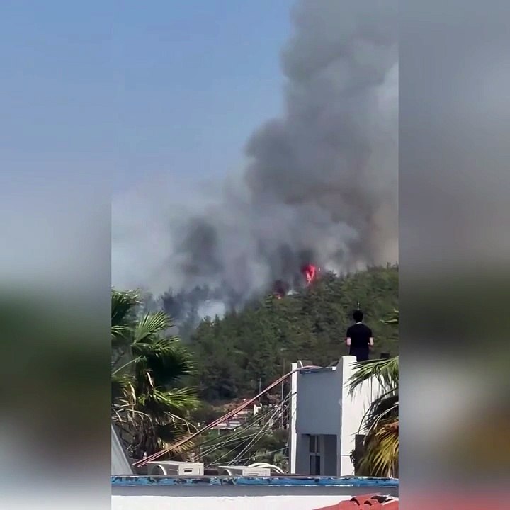 Bodrum'da orman yangını