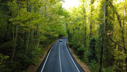 Dünyada örnekleri var ama en güzeli burası: Osmanlı mirası ''ağaç tüneli''