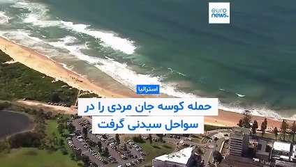 کوسه جان مردی را در سواحل سیدنی گرفت