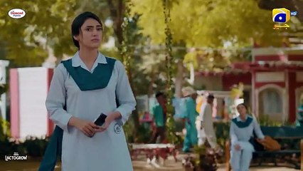 Mann Mast Malang Episode 24 | Pakistani Drama | ScreenTime PK