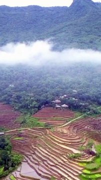 Best Quran Recitation in the World Emotional HeartTouching quran shorts fyp islamicvideo720p