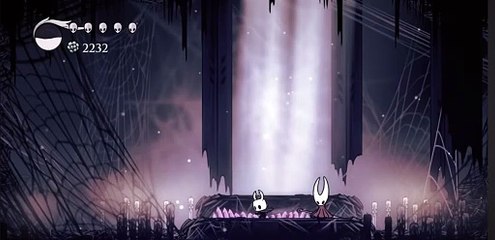 Hollow Knight