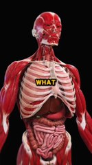 What happens if you drink natural juices every day?