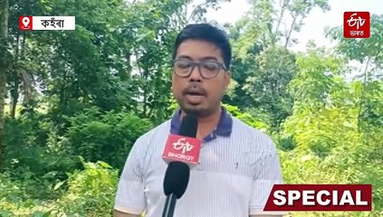 বছৰত এটাকৈ কণী পৰা শগুন সংৰক্ষণ হ'ব কেনেকৈ ? কি কয় পশু চিকিৎসকে ?