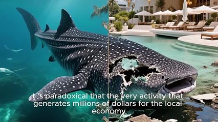 The Scars of Tourism: The Price Whale Sharks Pay