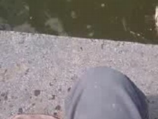 une carpe a la canne a coup!!