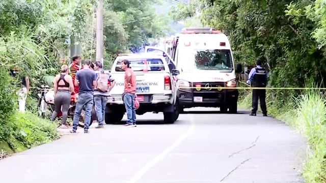 tn7-incidente-abejas-en-santa-ana-060925