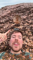 1 Subscriber _ 1 Penny