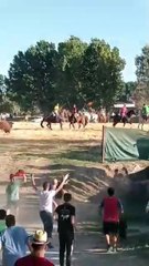 Un joven sufre una cogida en el primer encierro campestre de las Fiestas de Turégano