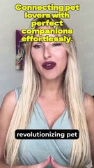 Pets & Animals for Sale and Adoption Online 2025