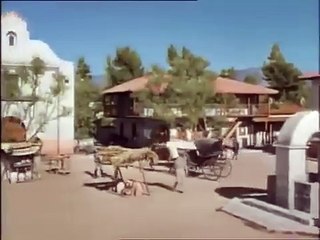 El Zorro Tesoro para el rey/ Serie "El Zorro"