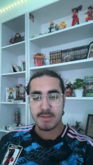 Quel figurine aimeriez-vous avoir ?