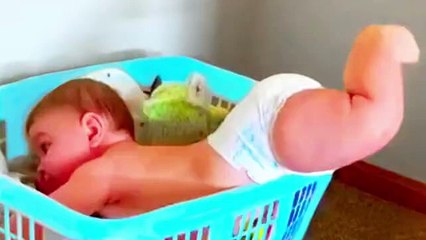 "Funny Animal Videos 😂 | Dogs, Cats & Pets Compilation 2025"