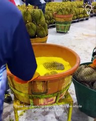 How fruits and veggies get processed!