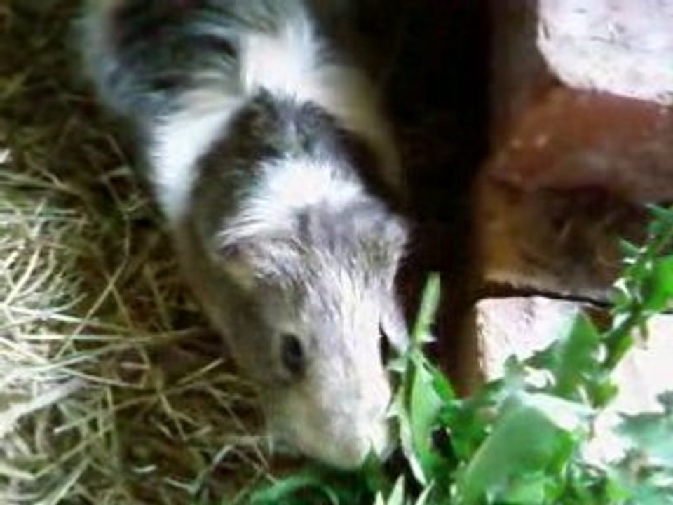 Plume et Cannelle