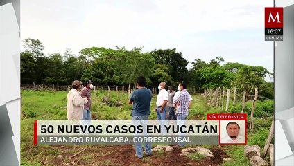 Reportan 50 casos nuevos de gusano barrenador en 27 municipios de Yucatán