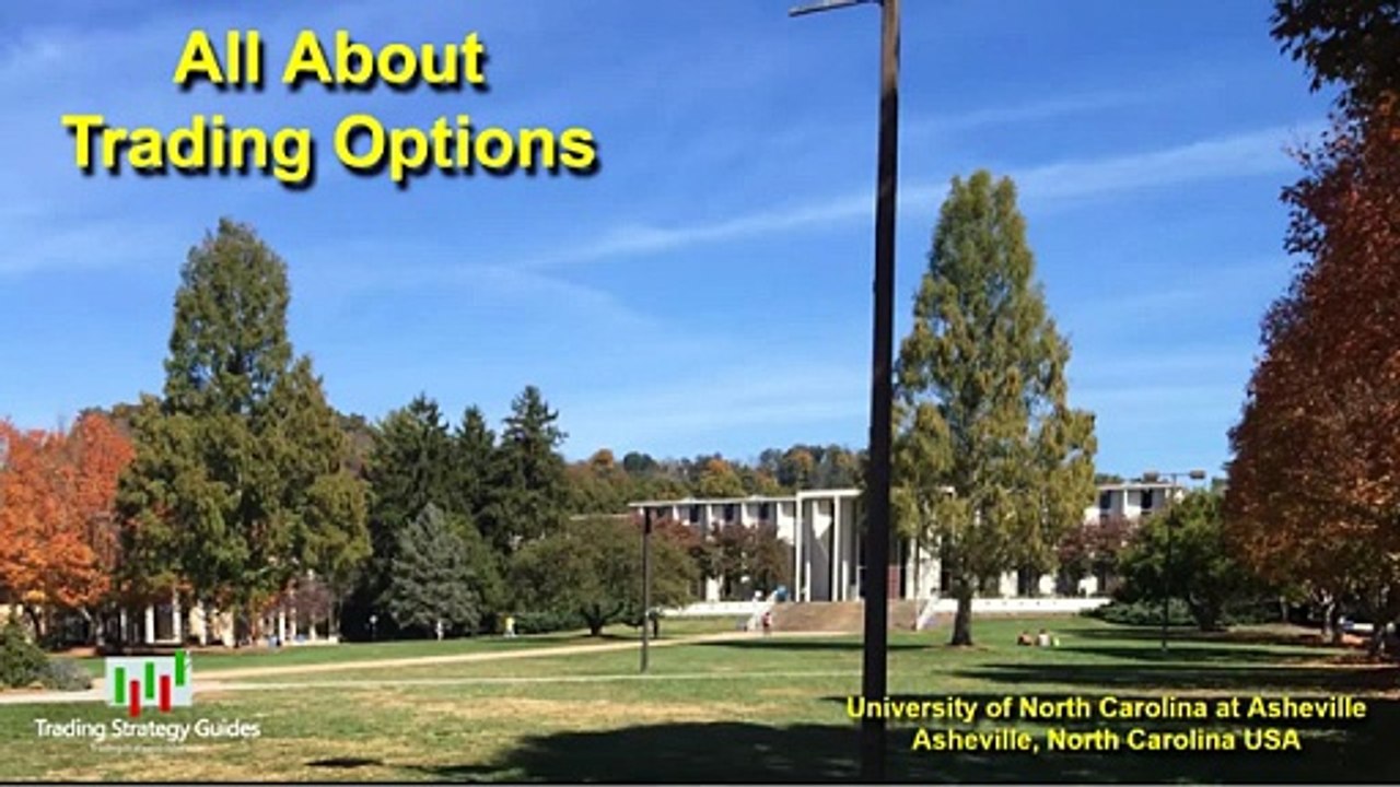 All About Trading Options _ Tim Black | Trading Strategy Guides