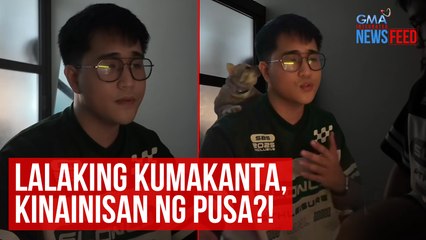 Lalaking kumakanta, kinainisan ng pusa?! | GMA Integrated Newsfeed