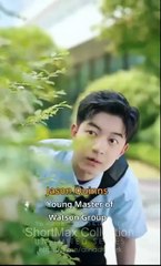 Runaway Young Master, Hard Working Ceo