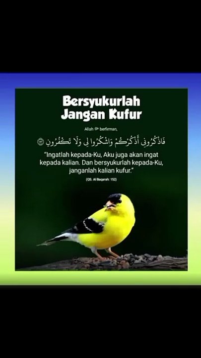 Bersyukurlah Jangan Kufur