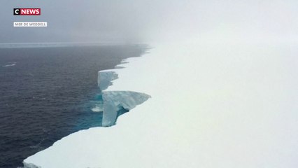 L'un des plus grands icebergs du monde s'est brisé