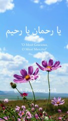 يا رحمان يا رحيم