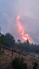 Portugal Wildfire Emergency in Seia – Flames Spread Toward Oliveira do Hospital