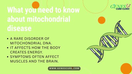 What You Need to Know About Mitochondrial Disease – Complete Guide