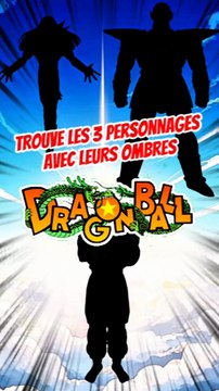 Trouve les 3 personnages de DRAGONBALL avec leurs ombres FEAT Raiku !!!