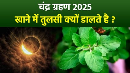 Chandra Grahan 2025: ग्रहण के दौरान खाने में तुलसी क्यों डाली जाती है, Khane Me Tulsi Kyu Dalte Hai