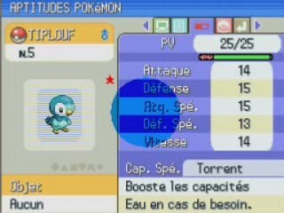 Pokemon diamant perle Bug decouvert le 18.05.08