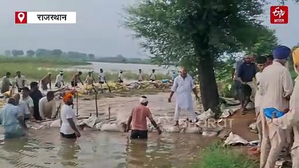 घग्गर नदी का बांध टूटा, 100 बीघा फसल जलमग्न, अलर्ट जारी