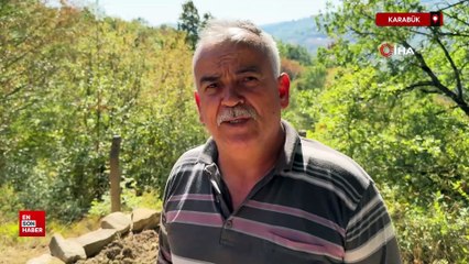 Karabük'te mezarlığa giren ayı mezarlara zarar verdi