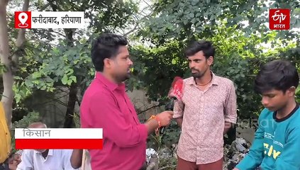 फरीदाबाद में बाढ़ प्रभावित किसानों का छलका दर्द, सड़क पर रहने को मजबूर, किराए पर जमीन लेकर लगाई फसल तबाह