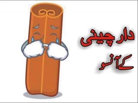 Dar Cheeni Ke Aansoo | Urdu Kahani | Cinnamon Story – Health, Spices & Science