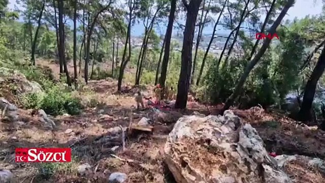 Antalya'da orman yangını çıktı': Müdahale ediliyor