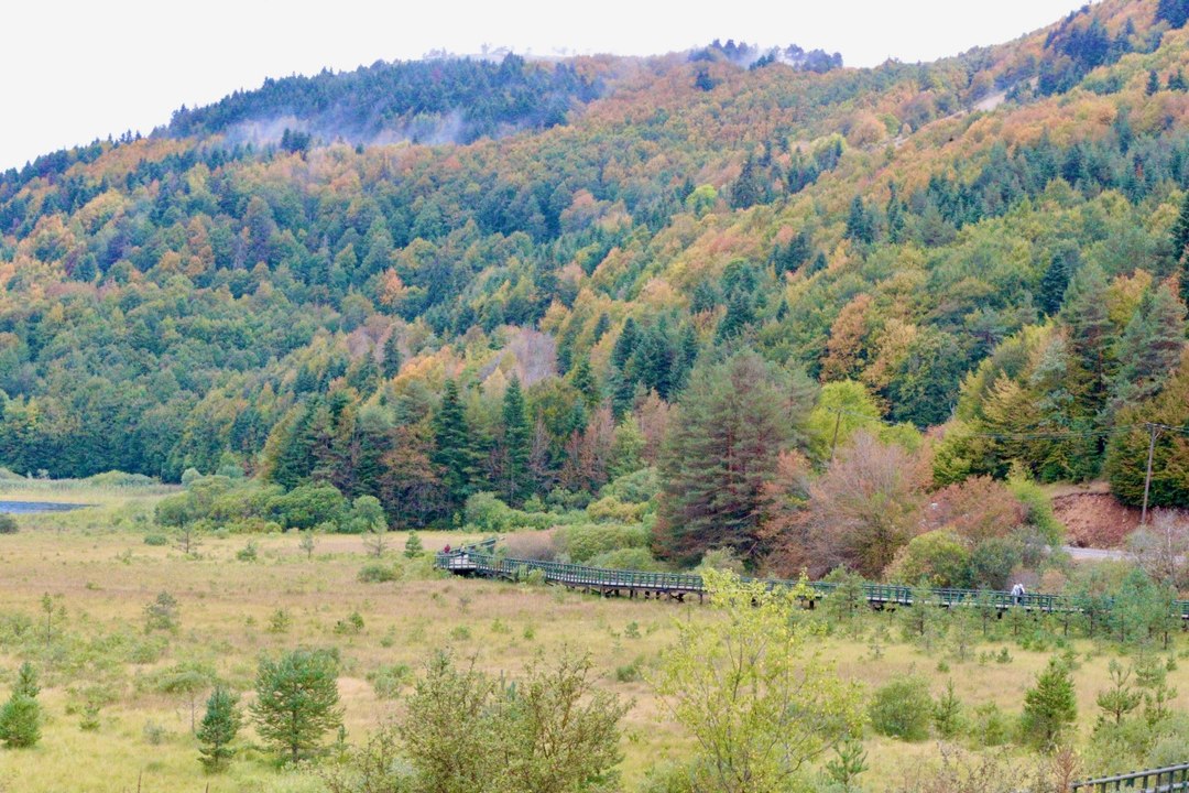 Abant’ta hazan mevsimi! Gölün etrafında renklerini gösterdi