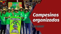 Programa Especial | Consejos Campesinos del país eligen a sus voceros en jornada histórica electoral