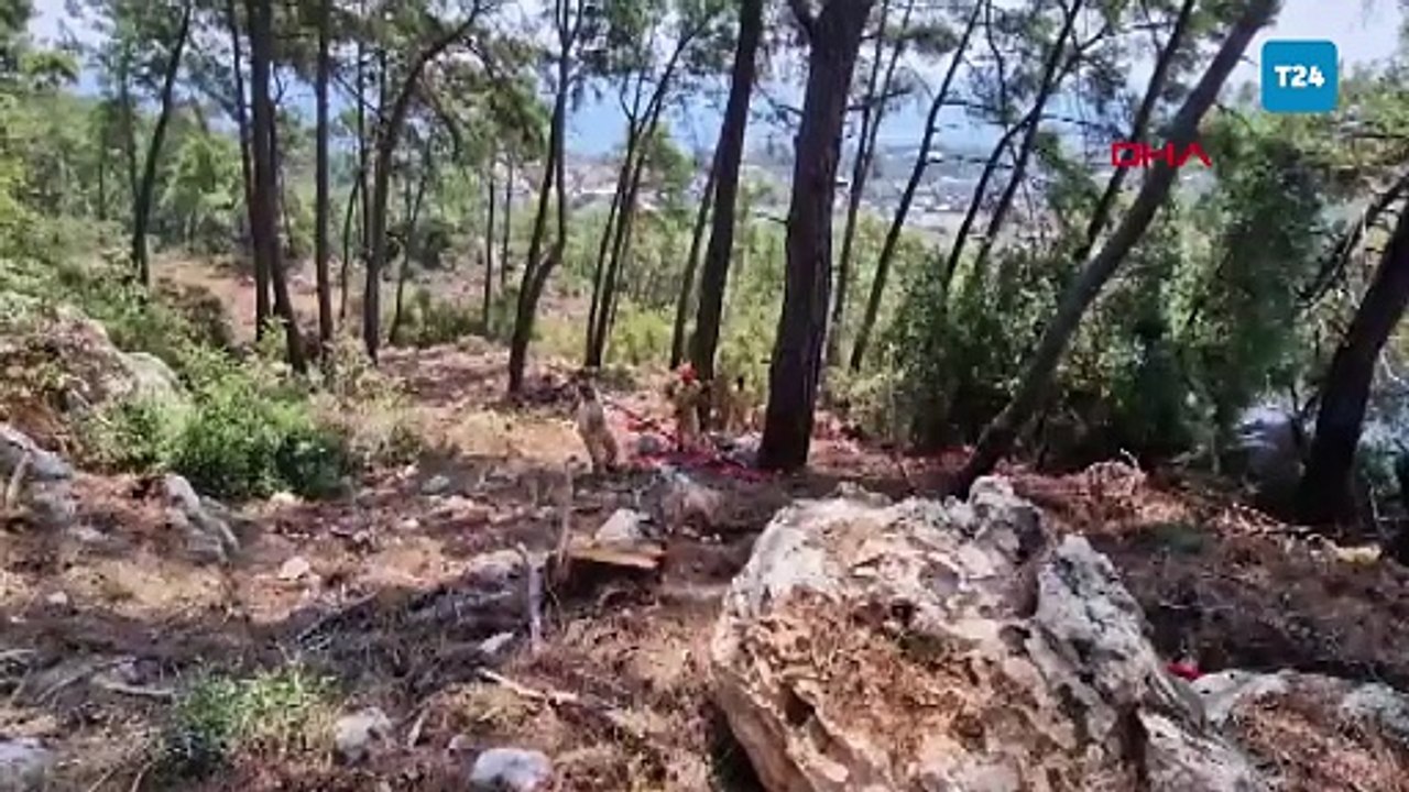 Antalya'da orman yangını: Havadan ve karadan müdahale ediliyor