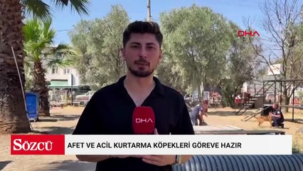 Afet ve acil kurtarma köpekleri göreve hazır