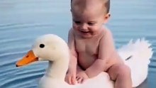 Adorable_Baby_Riding_a_Duck_Among_Mountains_and_Flowers(360p)