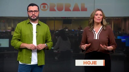Confira os destaques do Globo Rural de hoje, 07/09/2025