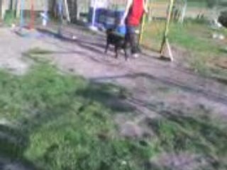 Xena au dressage
