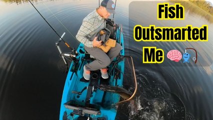 Pike slips free and leaps back into water just moments after being caught in fishing net