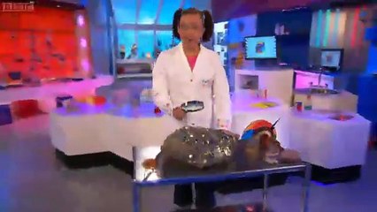 Cbeebies Nina And The Neurons In The Lab Marvellous Milk 5x25...mp4