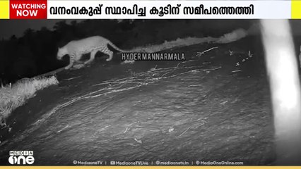 മലപ്പുറം പെരിന്തൽമണ്ണ മണ്ണാർമ്മലയിൽ വീണ്ടും പുലി ഇറങ്ങി