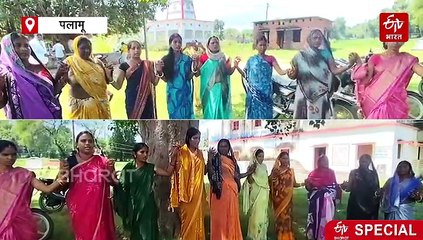 पलामू के पथरा पंचायत की नई पहचान, नक्सल प्रभाव से विकास और ISO सर्टिफिकेशन तक का सफर