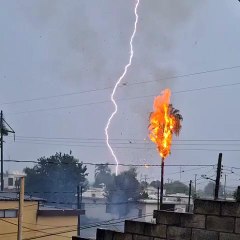 Lightning Strikes Set Palm Tree on Fire in Allende, Nuevo León, Mexico 🌴⚡🔥