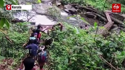 WATCH | Tribal Man Carried 4 Km On Makeshift Stretcher In Kerala; Villagers Claim Neglect